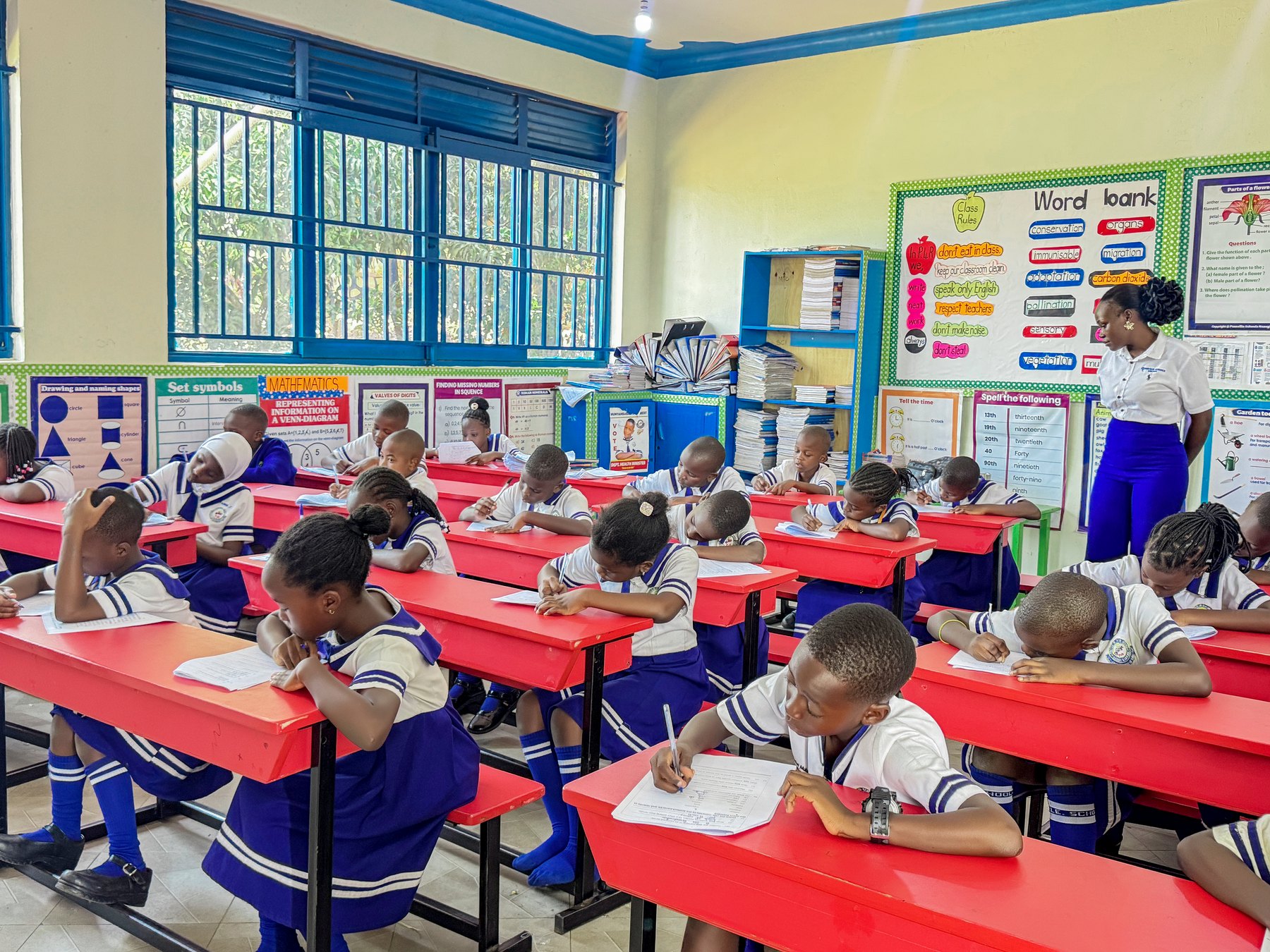 Pamville primary learners taking part in a classroom lesson